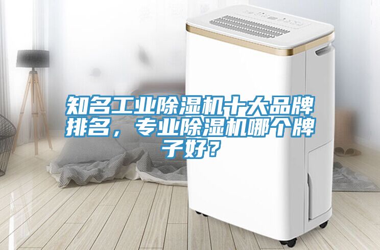 知名工業(yè)除濕機十大品牌排名，專業(yè)除濕機哪個牌子好？