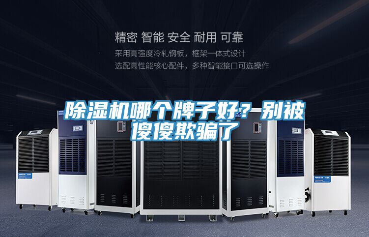 除濕機(jī)哪個(gè)牌子好？別被傻傻欺騙了