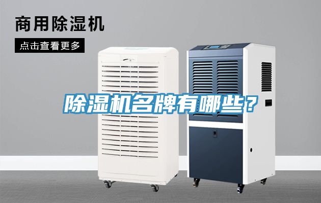 除濕機(jī)名牌有哪些？