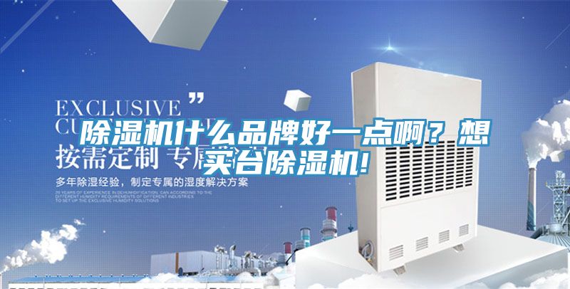 除濕機(jī)什么品牌好一點(diǎn)啊？想買臺(tái)除濕機(jī)!