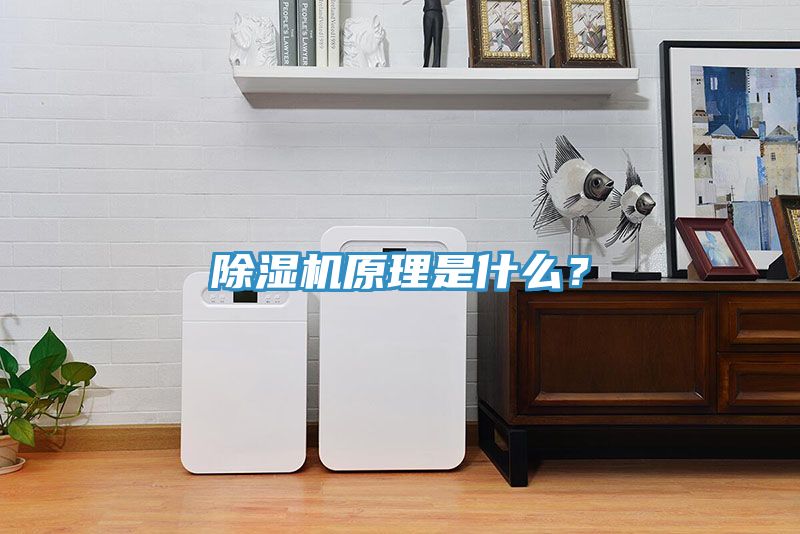 除濕機(jī)原理是什么？