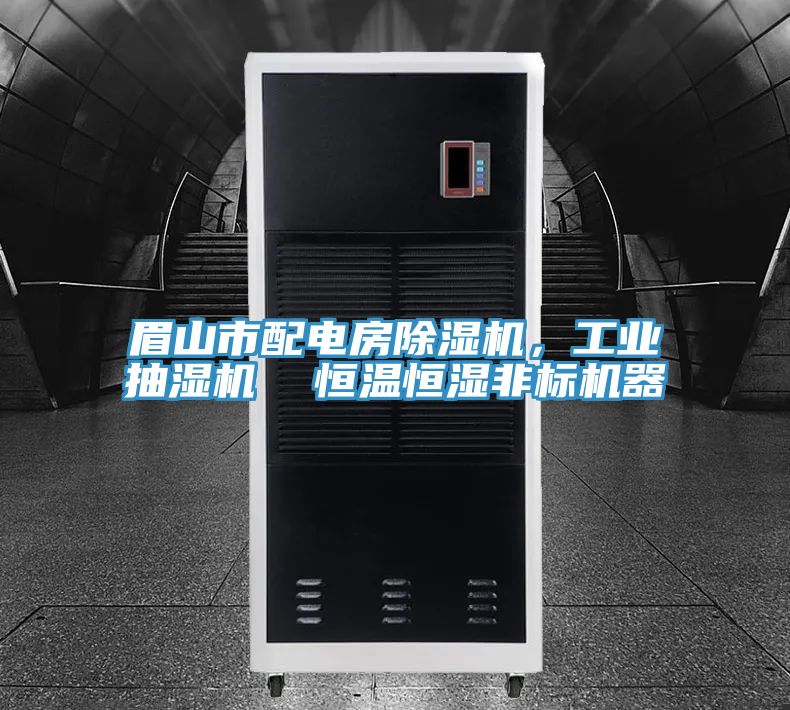 眉山市配電房除濕機，工業(yè)抽濕機  恒溫恒濕非標(biāo)機器