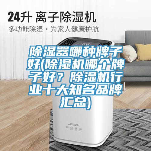 除濕器哪種牌子好(除濕機(jī)哪個(gè)牌子好？除濕機(jī)行業(yè)十大知名品牌匯總)