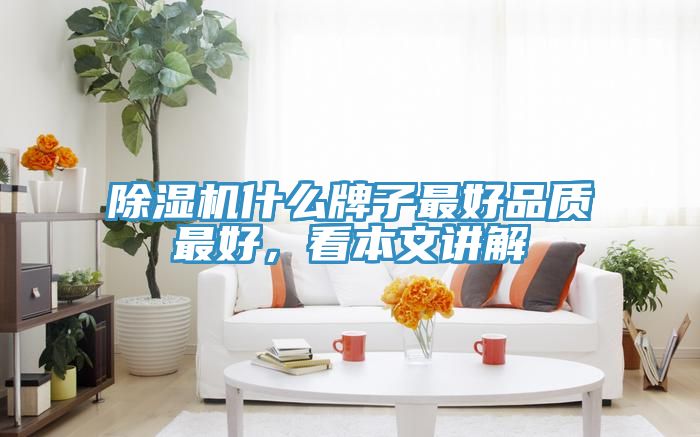 除濕機什么牌子最好品質最好，看本文講解