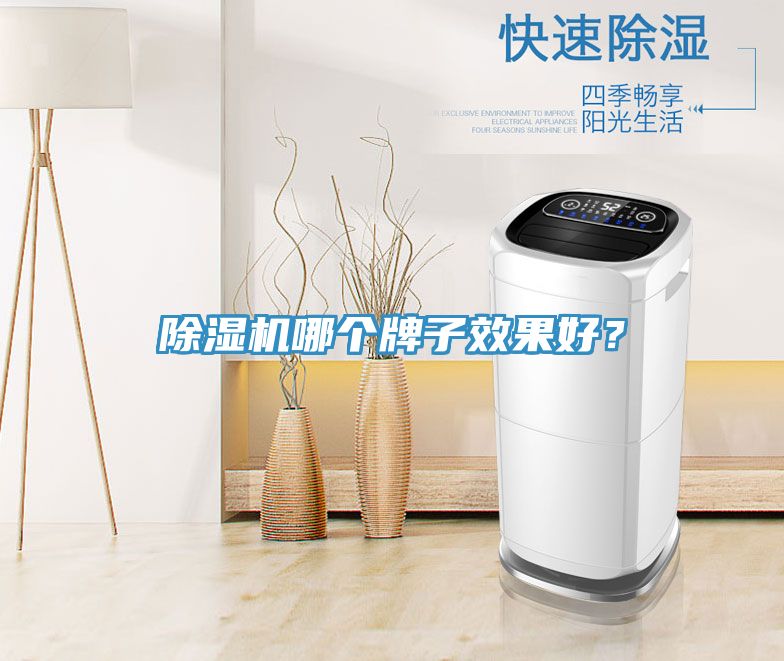 除濕機(jī)哪個牌子效果好？