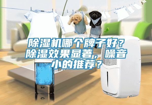 除濕機(jī)哪個牌子好？除濕效果顯著，噪音小的推薦？