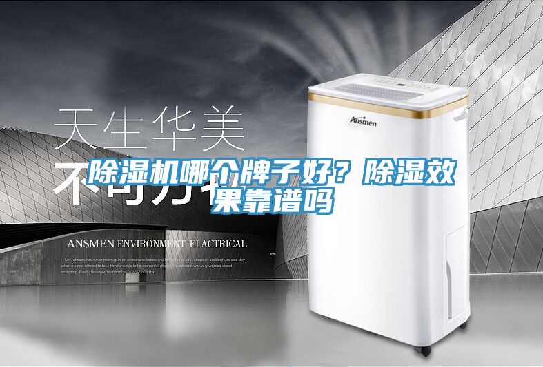 除濕機(jī)哪個牌子好？除濕效果靠譜嗎