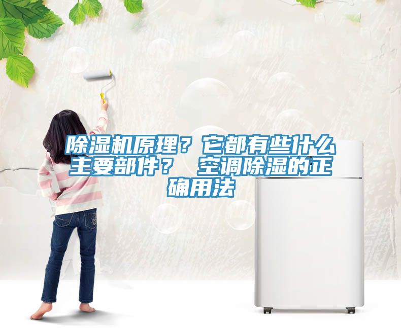除濕機(jī)原理？它都有些什么主要部件？ 空調(diào)除濕的正確用法