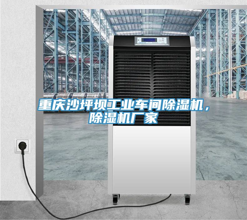 重慶沙坪壩工業(yè)車(chē)間除濕機(jī)，除濕機(jī)廠家