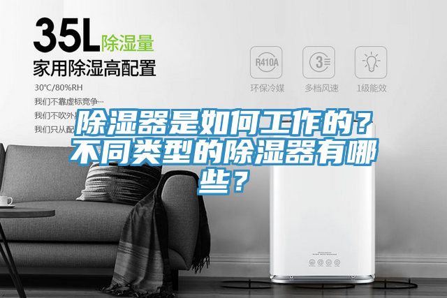 除濕器是如何工作的？不同類型的除濕器有哪些？