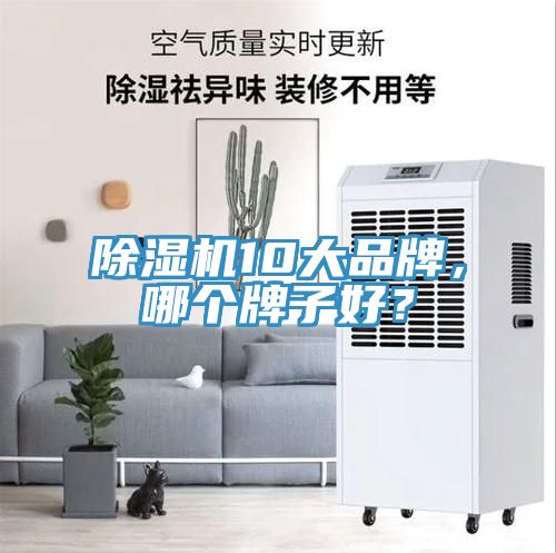 除濕機10大品牌，哪個牌子好？