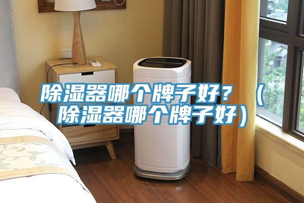除濕器哪個(gè)牌子好？（除濕器哪個(gè)牌子好）