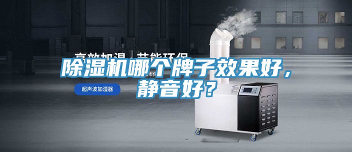 除濕機(jī)哪個牌子效果好，靜音好？