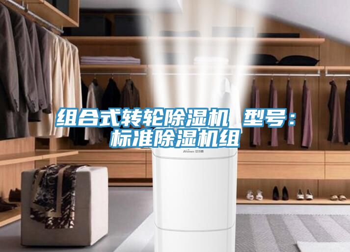 組合式轉(zhuǎn)輪除濕機 型號：標(biāo)準除濕機組