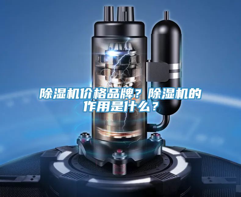 除濕機價格品牌？除濕機的作用是什么？