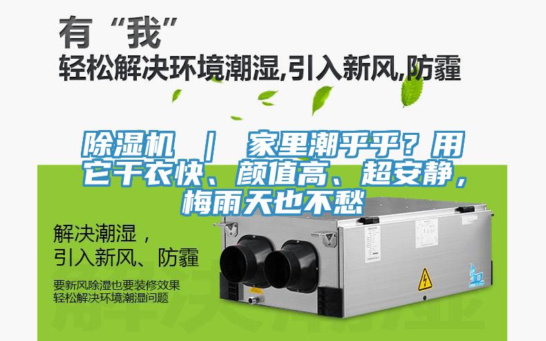 除濕機 ｜ 家里潮乎乎？用它干衣快、顏值高、超安靜，梅雨天也不愁