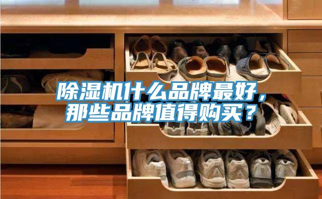除濕機(jī)什么品牌最好，那些品牌值得購(gòu)買？