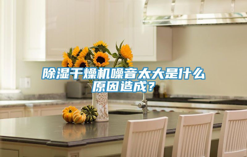 除濕干燥機噪音太大是什么原因造成？