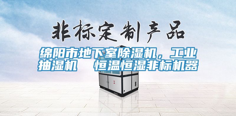 綿陽市地下室除濕機，工業(yè)抽濕機  恒溫恒濕非標機器