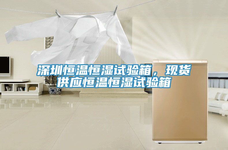 深圳恒溫恒濕試驗(yàn)箱，現(xiàn)貨供應(yīng)恒溫恒濕試驗(yàn)箱