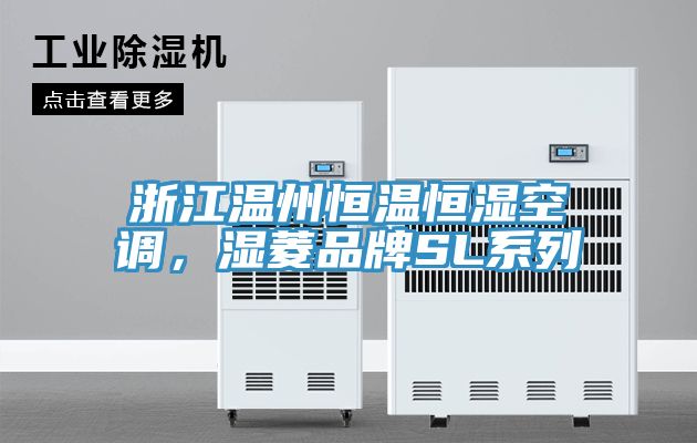 浙江溫州恒溫恒濕空調(diào)，濕菱品牌SL系列