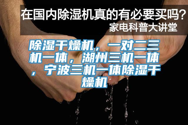 除濕干燥機(jī)，一對二三機(jī)一體，湖州三機(jī)一體，寧波三機(jī)一體除濕干燥機(jī)