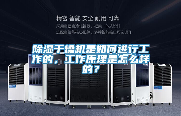 除濕干燥機是如何進行工作的，工作原理是怎么樣的？