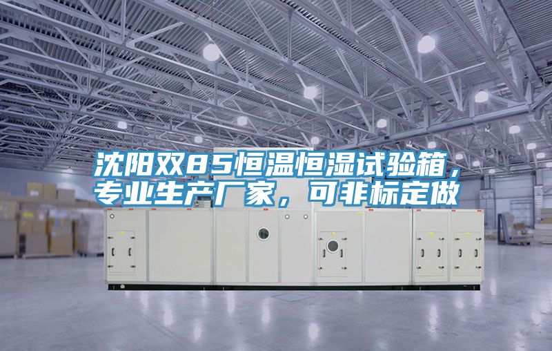 沈陽雙85恒溫恒濕試驗箱，專業(yè)生產廠家，可非標定做