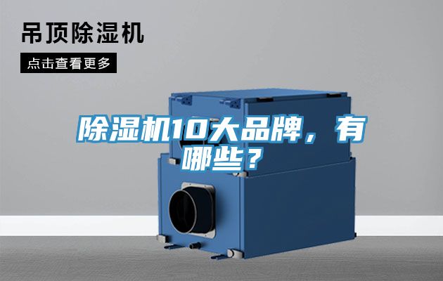 除濕機(jī)10大品牌，有哪些？