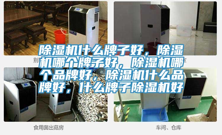 除濕機(jī)什么牌子好，除濕機(jī)哪個(gè)牌子好，除濕機(jī)哪個(gè)品牌好，除濕機(jī)什么品牌好，什么牌子除濕機(jī)好