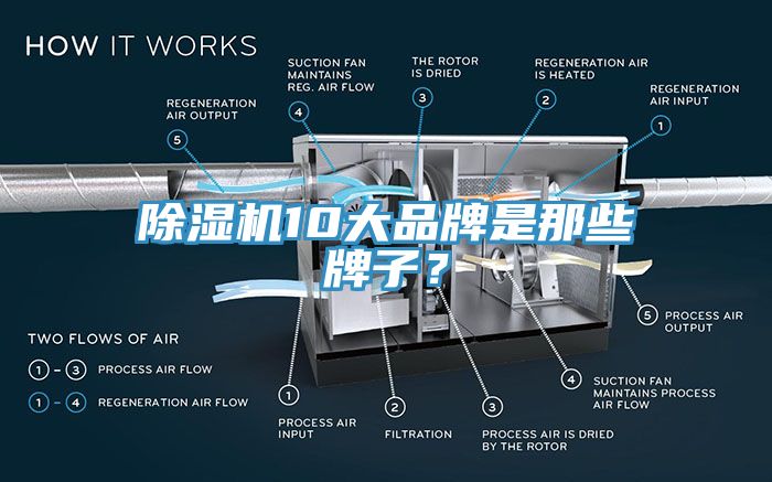除濕機10大品牌是那些牌子？