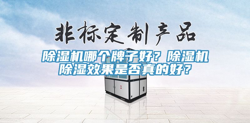 除濕機(jī)哪個牌子好？除濕機(jī)除濕效果是否真的好？