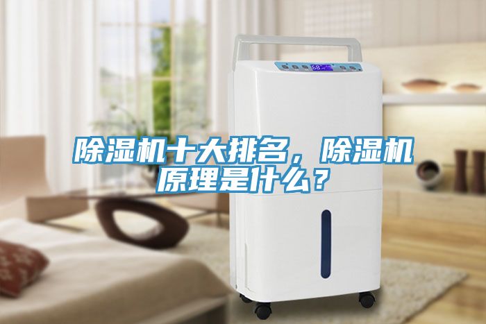 除濕機十大排名，除濕機原理是什么？
