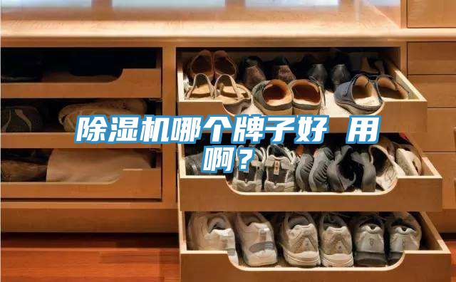 除濕機(jī)哪個(gè)牌子好 用啊？