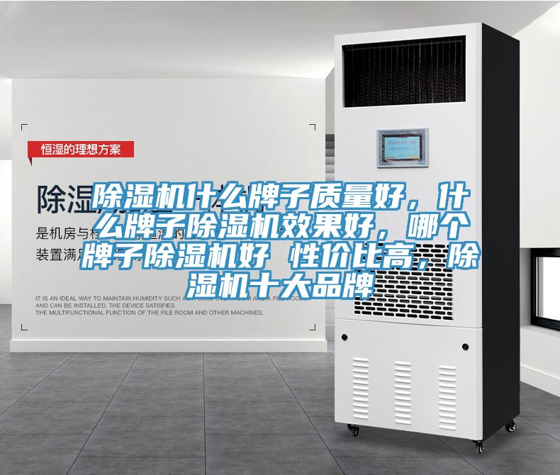 除濕機(jī)什么牌子質(zhì)量好，什么牌子除濕機(jī)效果好，哪個(gè)牌子除濕機(jī)好 性價(jià)比高，除濕機(jī)十大品牌
