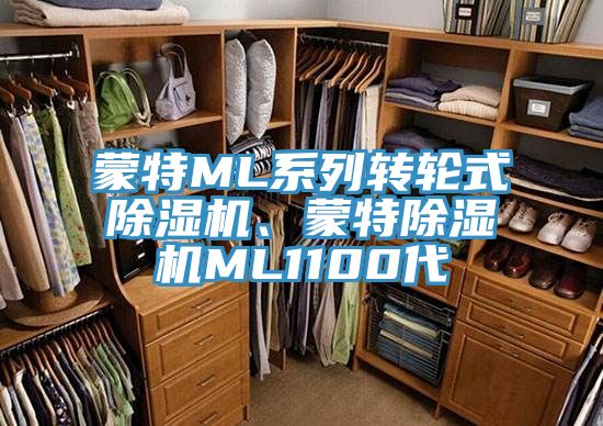 蒙特ML系列轉(zhuǎn)輪式除濕機、蒙特除濕機ML1100代