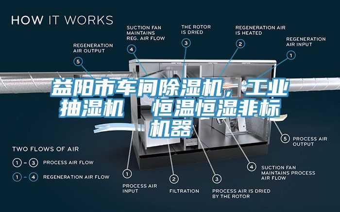 益陽(yáng)市車間除濕機(jī)，工業(yè)抽濕機(jī)  恒溫恒濕非標(biāo)機(jī)器