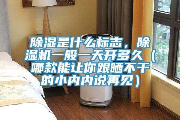除濕是什么標(biāo)志，除濕機(jī)一般一天開多久（哪款能讓你跟曬不干的小內(nèi)內(nèi)說再見）