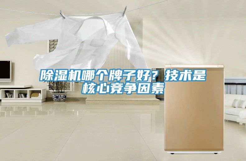 除濕機(jī)哪個(gè)牌子好？技術(shù)是核心競(jìng)爭(zhēng)因素