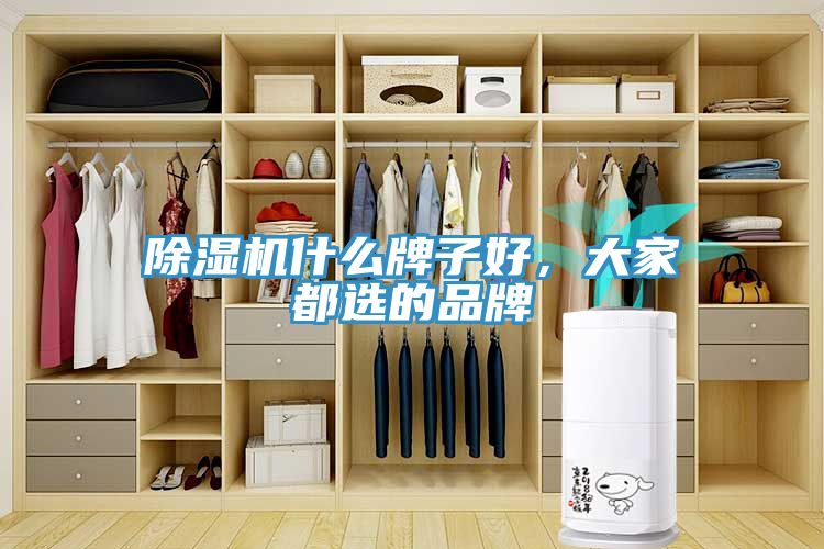 除濕機(jī)什么牌子好，大家都選的品牌