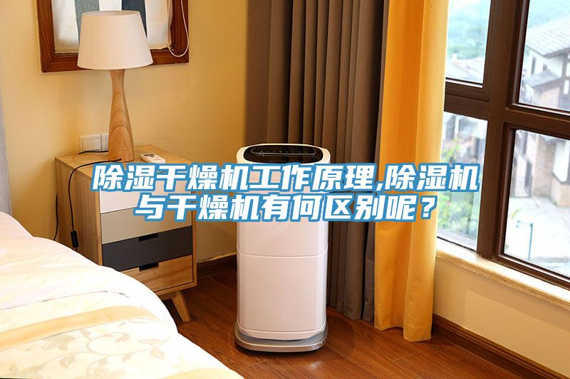 除濕干燥機工作原理,除濕機與干燥機有何區(qū)別呢？