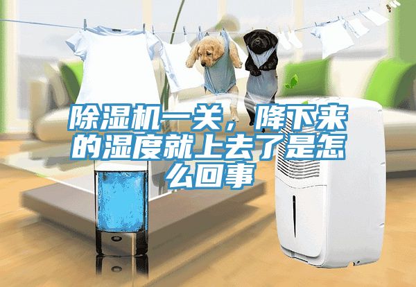 除濕機(jī)一關(guān)，降下來的濕度就上去了是怎么回事