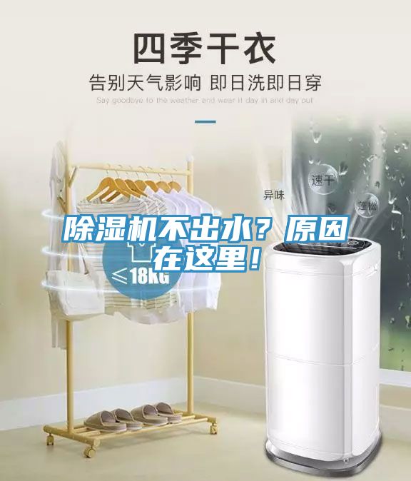 除濕機不出水？原因在這里！