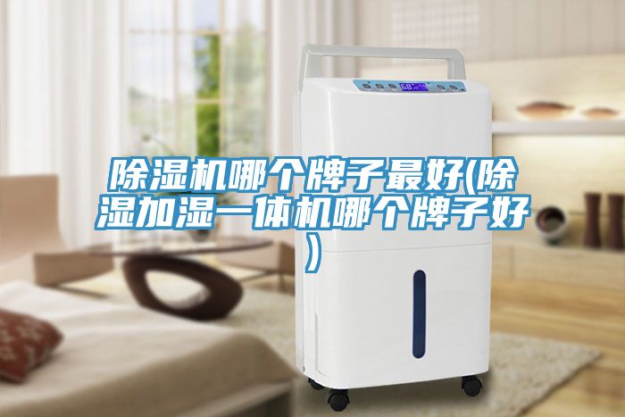 除濕機(jī)哪個牌子最好(除濕加濕一體機(jī)哪個牌子好)