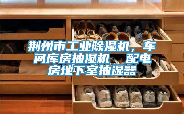 荊州市工業(yè)除濕機(jī)，車間庫房抽濕機(jī)  配電房地下室抽濕器