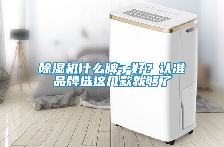 除濕機(jī)什么牌子好？認(rèn)準(zhǔn)品牌選這幾款就夠了