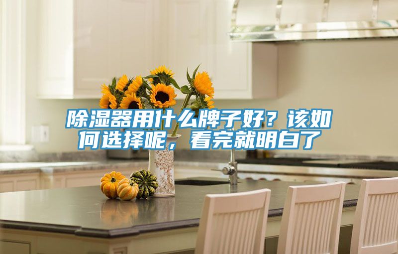 除濕器用什么牌子好？該如何選擇呢，看完就明白了