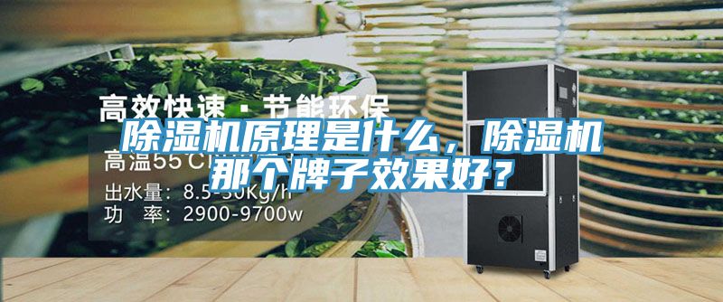 除濕機(jī)原理是什么，除濕機(jī)那個牌子效果好？