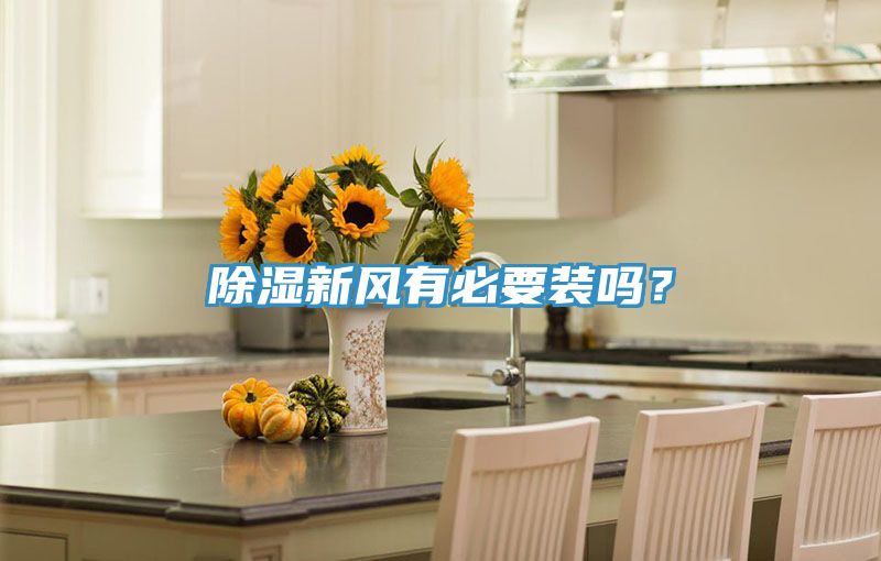 除濕新風(fēng)有必要裝嗎？