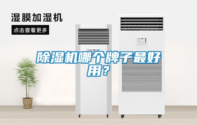除濕機(jī)哪個牌子最好用？